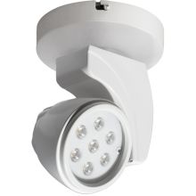 Reflex 17 Watt LED Dimming LEDme Floodlight Monopoint Light