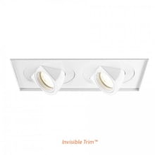 Tesla Multiple Spots 12.5" Wide 2 Light Adjustable Invisible Trim with Flood Beam Spread