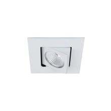 Oculux 2" LED Square Adjustable Recessed Trim with New Construction / Remodel Convertible Housing and Flood Beam Spread