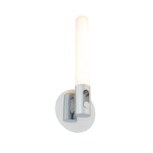 Clare 16" Tall LED Wall Sconce