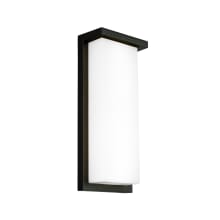 Vega 14" Tall LED Outdoor Wall Sconce