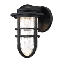 Steampunk 10" Tall LED Outdoor Wall Sconce