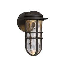 Steampunk 13" Tall LED Outdoor Wall Sconce