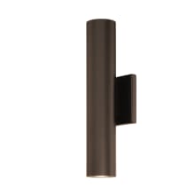 Caliber 2 Light 14" Tall LED Outdoor Wall Sconce