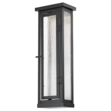Eliot 20" Tall LED Outdoor Wall Sconce