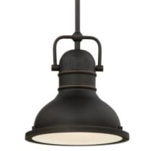 Boswell 9" Wide Single Light LED Mini Pendant with Metal Shade