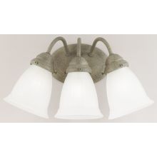 3 Light 17" Wide Bathroom Fixture with Frosted Glass