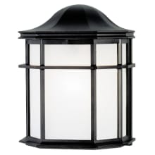 Single Light 9-7/8" Tall Outdoor Flush Mount Wall Sconce