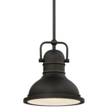 Boswell 9" Wide Single Light LED Mini Pendant with Metal Shade