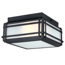 Devyn 2 Light 12" Wide Outdoor Flush Mount Square Ceiling Fixture