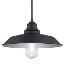 Iron Hill 12" Wide Pendant