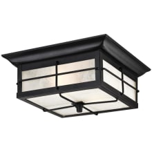 Orwell 2 Light 11" Wide LED Outdoor Flush Mount Ceiling Fixture