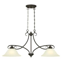 Dunmore 2 Light 37" Wide Single Tier Linear Chandelier with Frosted Glass Shades