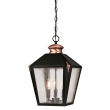 Valley Forge 3 Light 11-7/8" Wide Outdoor Multi Light Pendant