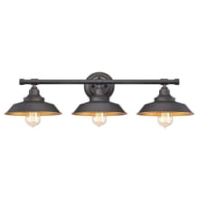 Iron Hill 30" Wide 3 Light Bathroom Vanity Light with Metal Shades