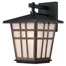 Rollins Single Light 13" Tall Outdoor Wall Sconce with Frosted Glass Shade