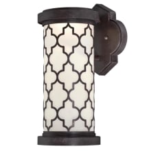 Ariss Single Light 13" Tall LED Outdoor Wall Sconce