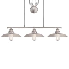 Iron Hill 3 Light 40" Wide Linear Chandelier