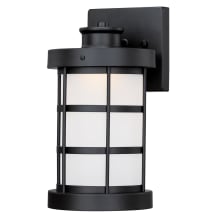Barkley 12" Tall LED Outdoor Wall Sconce