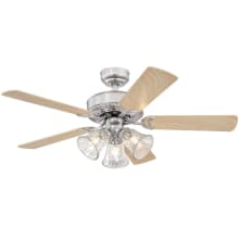Newtown 42" 5 Blade Indoor LED Ceiling Fan with Wall Control