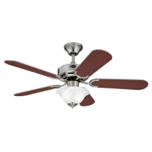Richboro Se 42" 5 Blade Indoor LED Ceiling Fan with Wall Control
