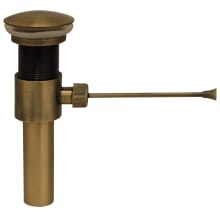 Accessory Drain Assembly