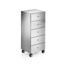 Runner Steel Rolling Cabinet with 5 Drawers
