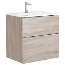 Dalia 24" Wall Mounted Single Basin Vanity Set with Cabinet and Ceramic Vanity Top