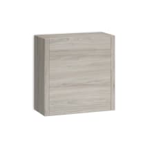 Dalia 13-13/16" Engineered Wood Wall Mounted Bathroom Cabinet