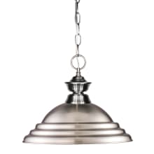 1 Light Full Sized Pendant with Pewter Shade