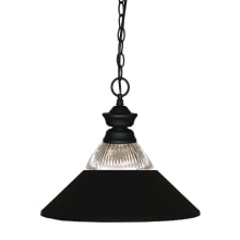 Shark 1 Light Pendant with Ribbed Glass and Metal Shade