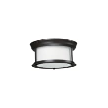 Sonna 2 Light Flushmount Ceiling Fixture with Matte Opal Shade