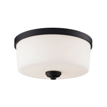 Arlington 3 Light 14" Wide Flush Mount Drum Ceiling Fixture