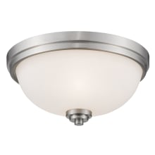 Ashton 3 Light 15" Wide Flush Mount Bowl Ceiling Fixture