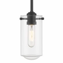 Delaney 4" Wide Pendant with Clear Drop Glass Shade
