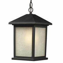 Holbrook 13" Tall 1 Light Outdoor Pendant with Seedy Glass