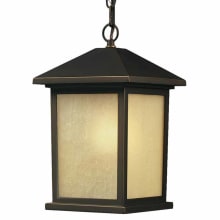 Holbrook 13" Tall 1 Light Outdoor Pendant with Seedy Glass