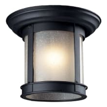 1 Light Outdoor Flushmount Ceiling Fixture with Clear Seedy Shade