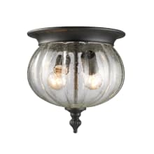 Belmont 2 Light Outdoor Flushmount Ceiling Fixture with Clear Seedy Shade