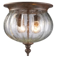 Belmont 2 Light Outdoor Flushmount Ceiling Fixture with Clear Seedy Shade