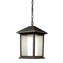 Mesa 1 Light Outdoor Pendant with Seedy and Matte Opal Shade