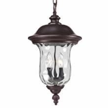 Armstrong 19" Tall 2 Light Outdoor Pendant with Clear Water Glass Shade
