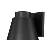 Asher 11" Tall LED Wall Sconce