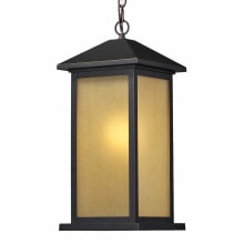 Vienna 1 Light Outdoor Pendant with Tinted Seedy Shade