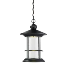 Genesis 1 Light Energy Efficient LED Pendant Outdoor Light with Clear Seedy Glass Shade
