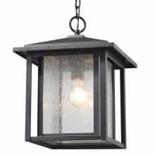 Aspen Single Light 11" Wide Outdoor Pendant