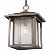 Aspen Single Light 11" Wide Outdoor Pendant