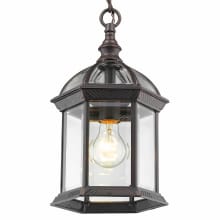 Annex Single Light 8" Wide Outdoor Mini Pendant with Clear Beveled Glass Panels