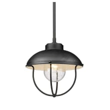 Ansel 11" Wide Outdoor Pendant