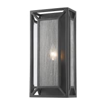 Braum Single Light 15" High Wall Sconce